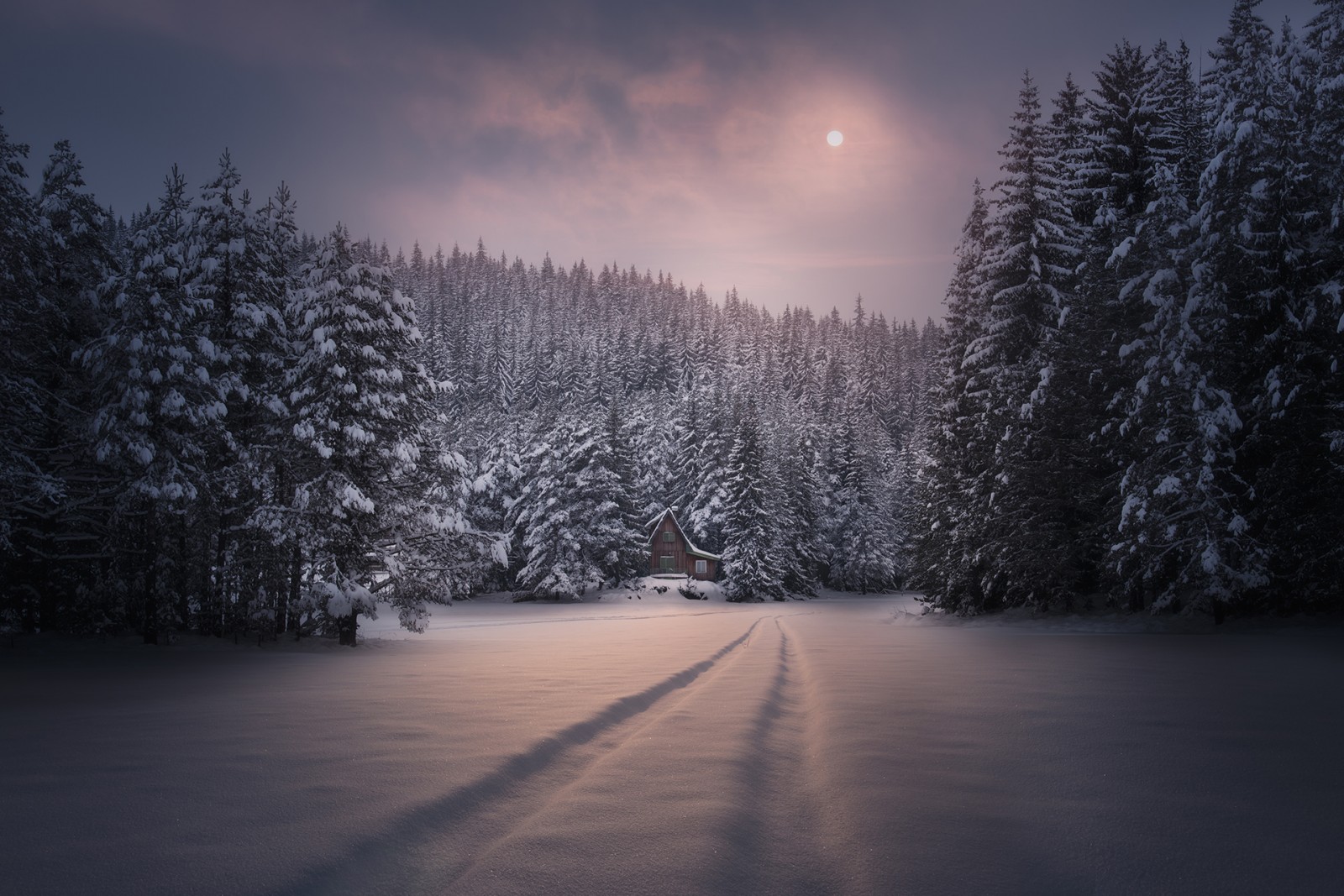 Winter night. Зимний лес ночью. Зимняя ночь. Лес зимой ночью. Зима лес ночь.