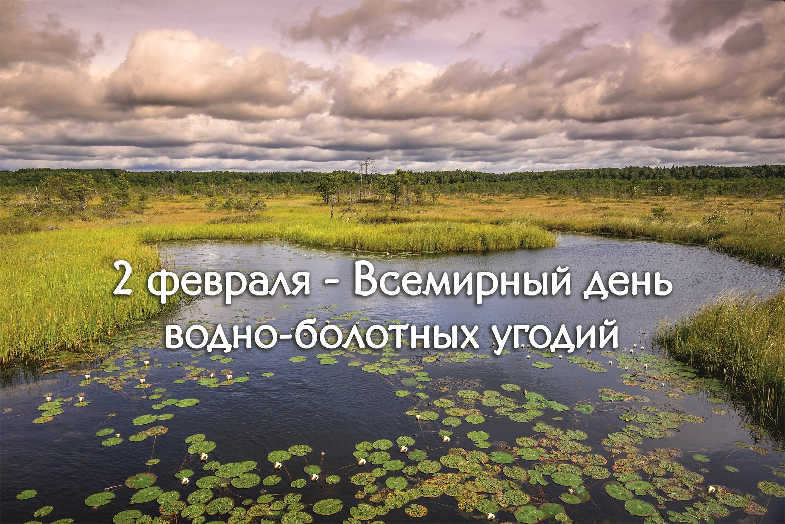 день водяного