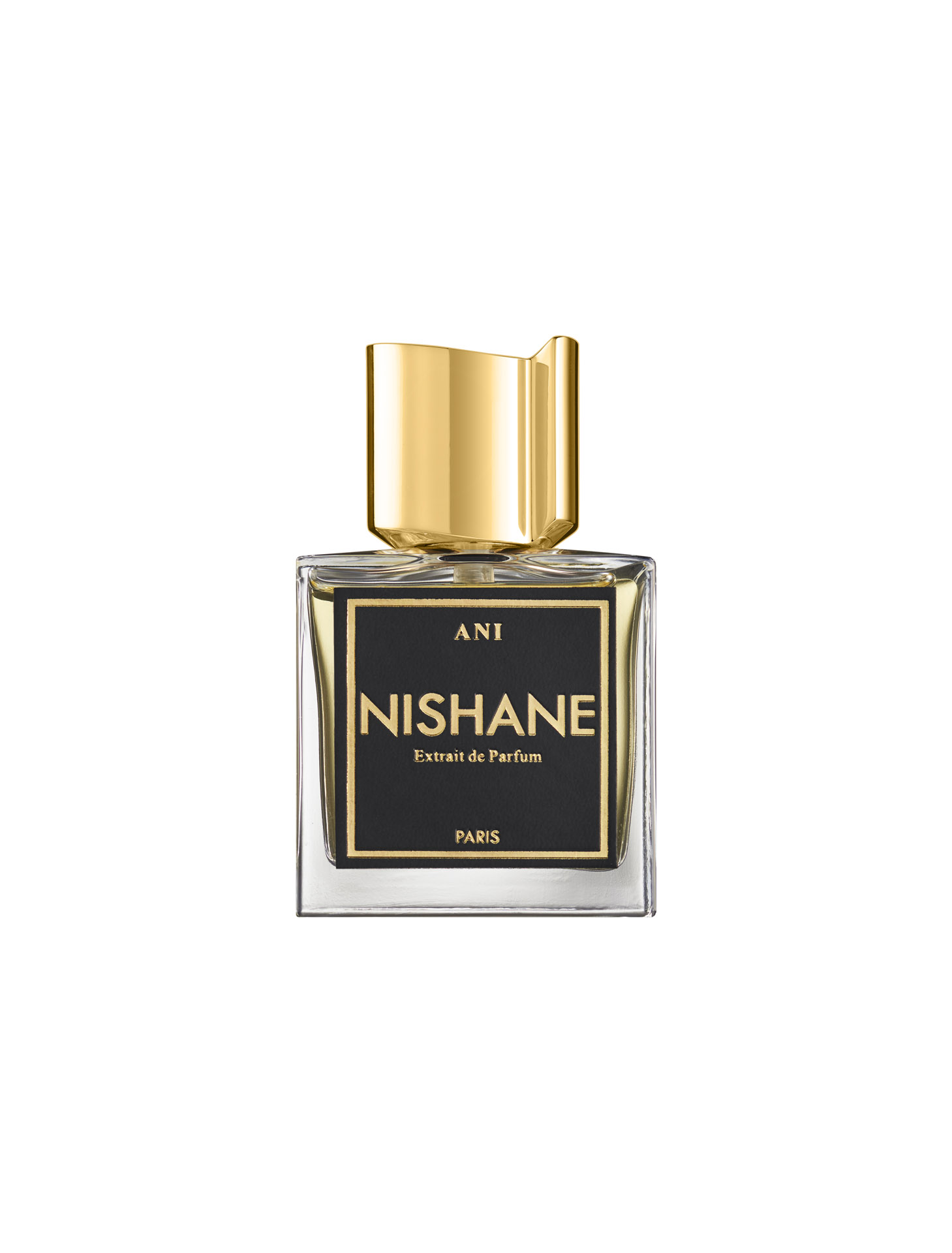 Nishane extrait de parfum. Nishane Парфюм. Nishane Wulong Cha. Nishane ani описаниях. Ani Nishane лого.