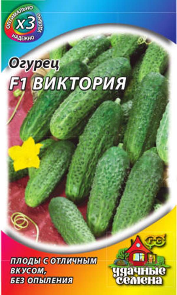 Огурец Виктория Семена Купить В Смоленске