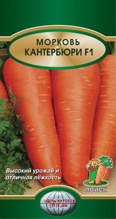 Морковь Кантербюри