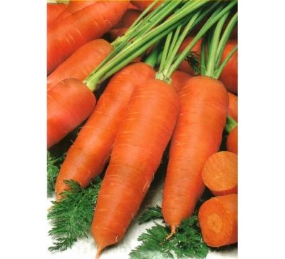 Морковь МО