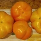 Отзыв про Перец Золотой юбилей